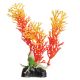 Underwater Treasures Orange Ambulia - 5