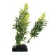 Underwater Treasures Egeria Plants