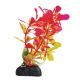 Underwater Treasures Ludwigia Plants