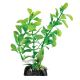 Underwater Treasures Ludwigia - Green - 4.5