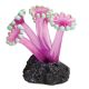 Underwater Treasures Zoo Polyps