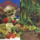 Underwater Treasures Sea Floor/Creeping Vines Reversible Backgrounds
