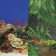 Underwater Treasures Sea Floor/Creeping Vines Reversible Background - 24