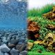 Underwater Treasures Pebble Rock/Green Sea Reversible Backgrounds