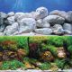 Underwater Treasures Aquagarden/White Stone Reversible Background - 12