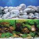 Underwater Treasures Aquagarden/White Stone Reversible Background - 18