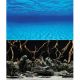 Underwater Treasures Oceanscape/Mystic Lake Reversible Backgrounds