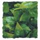Zoo Med Mexican Phyllo - Small