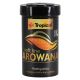 Tropical Arowana Soft Line