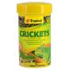 Tropical Dried Crickets