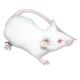 Reptile Treasures Frozen Mice