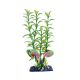 Penn Plax Aqua Plant Sinkers Blooming Ludwigias & Malaysian Crypts