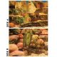Underwater Treasures Flat Rock/Round Rock Reversible Backgrounds