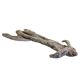 Spot Forest Series Skinneeez