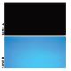 Underwater Treasures Black/Blue Reversible Background - 32