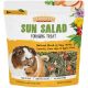 Vitakraft Sunseed Inc. Sun Salad Guinea Pig Foraging Treat - 10 oz
