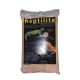 Blue Iguana Reptilite Calcium Substrate - Baja Tan - 20 lb