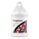 Seachem Reef Phosphorus - 2 L