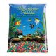 Pure Water Pebbles Coated Pebbles - Neon Rainbow