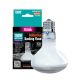 Arcadia Golden Sun Basking Flood Lamp - 100W