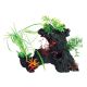 Underwater Treasures Planted Stumps