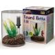Lee's Mini Betta Kits