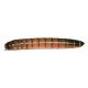 Timberline Live Superworms (Zophobas morio)