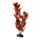 Underwater Treasures Red/Green Bacopas