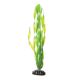 Underwater Treasures Green Jungle Vallisneria - 12