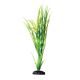 Underwater Treasures Cryptocoryne Balansae - 12