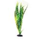 Underwater Treasures Cryptocoryne Balansae - 16