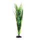 Underwater Treasures Cryptocoryne Balansae - 20