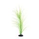Underwater Treasures Green Hairgrass - 20
