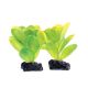 Underwater Treasures Bacopa 2 Pod Combo