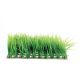 Underwater Treasures Hairgrass Mat - 10