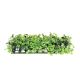 Underwater Treasures Plant Mats