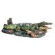 Underwater Treasures Laughing Gator