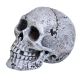 Underwater Treasures Mini Skull