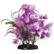 Underwater Treasures Fuscia Moon Plants