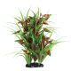 Underwater Treasures Flowering Arrowhead - 12