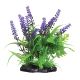 Underwater Treasures Purple Passion Plants