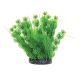 Underwater Treasures Foxtail Plants