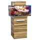Underwater Treasures E-Style Aquariums