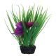Underwater Treasures Luna Lily - Purple - 7