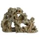 Underwater Treasures Pitted Rock Walls