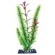 Penn Plax Aqua Plant Sinkers Club Moss & Ludwigia