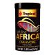 Tropical Soft Line Africa Carnivore Sinking Chips