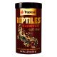 Tropical Reptiles Carnivore