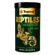 Tropical Reptiles Herbivore