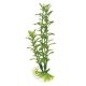 Penn Plax Aqua Plant Green Blooming Ludwigias